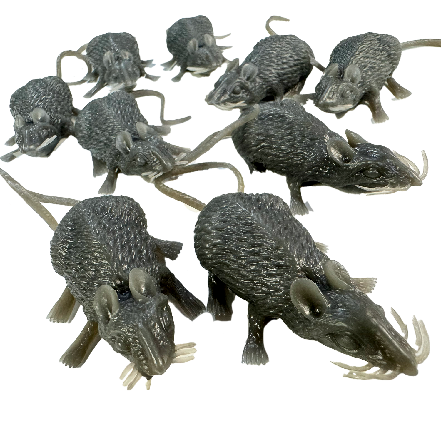 Bag of 10 Mice – AbracadabraNYC